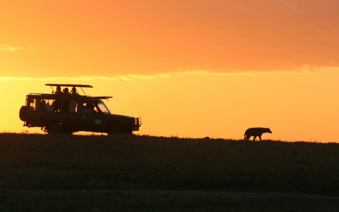 Best Times to Book Budget-Friendly Family Safari Trips in Tanzania